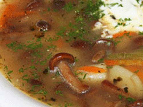 Как варить суп из опят